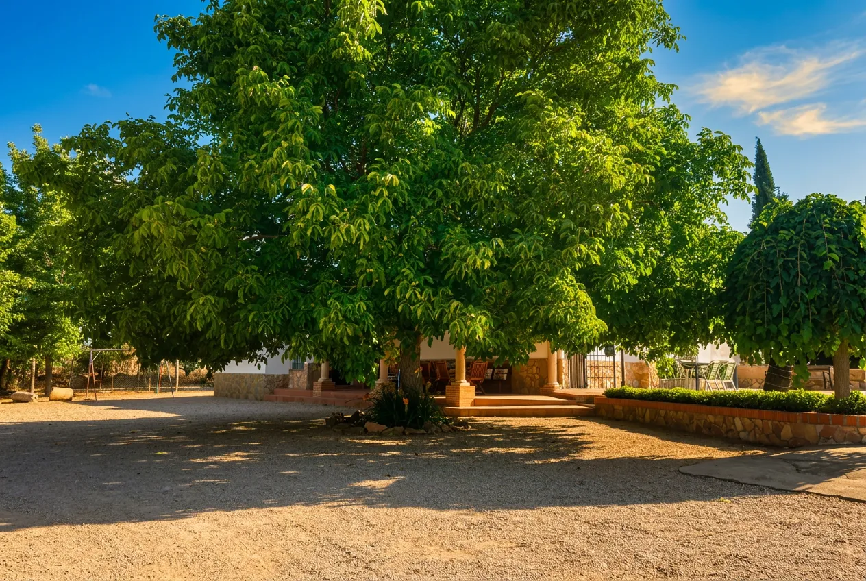 El campo de La Manchuela alrededor de El Cadillar