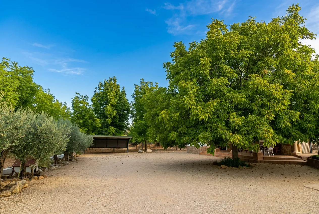 El valle del Júcar cerca de la casa